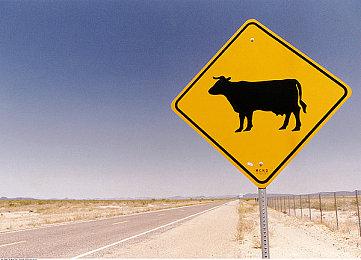 GOG经典游戏保护计划新增两款老《潜行者》作品